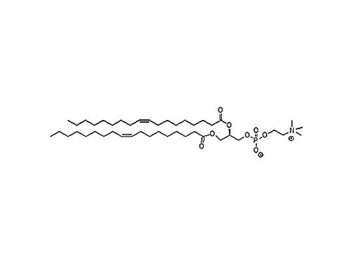 1,2-DIOLEOYL-SN-GLYCERO-3-PHOSPHOCHOLINE